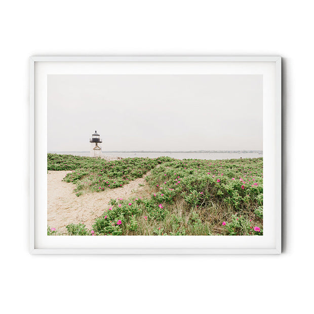 Dunes at Brant Point in Spring Print