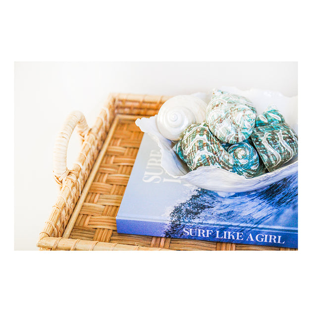 Jade Carved Turbo Shell Set – Cailini Coastal