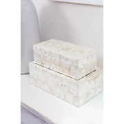 Sausalito Shell Decorative Boxes
