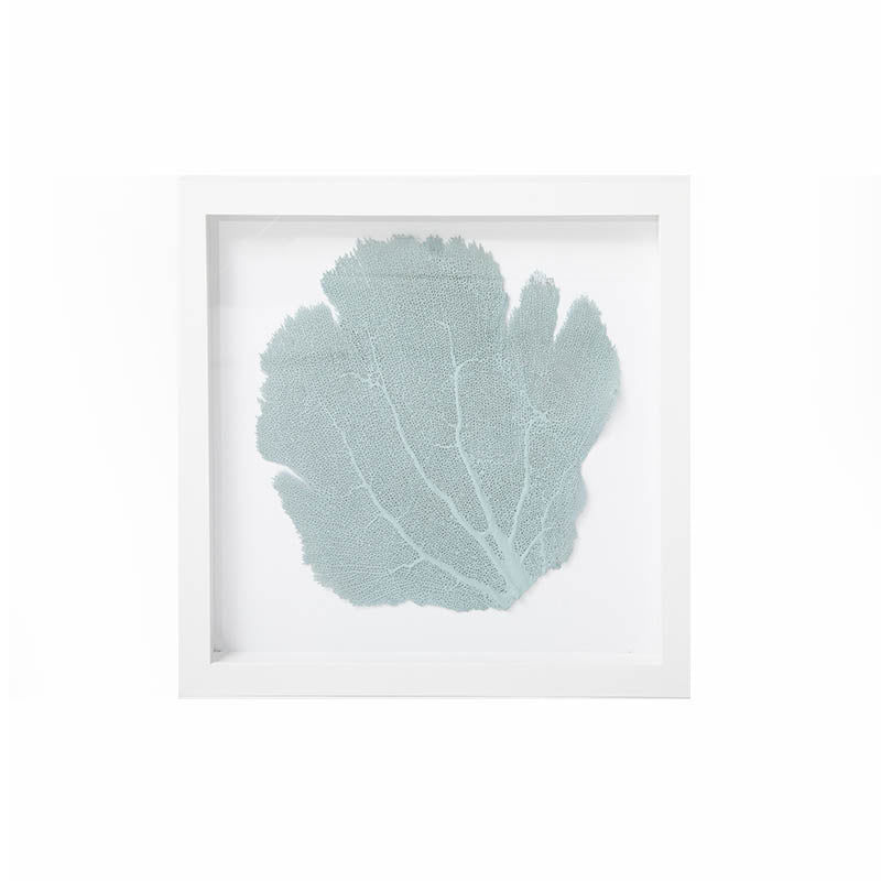 Sea Fan Framed Art - Blue Haze