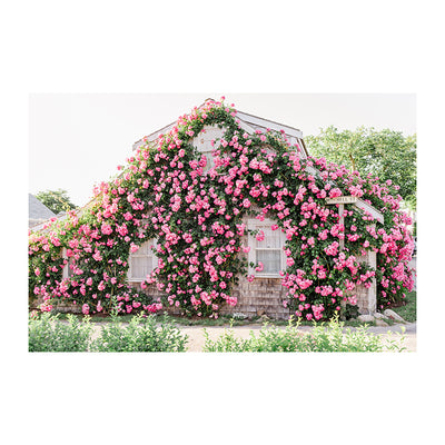 Pink Rose Covered Cottage Print