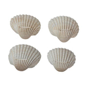 Shell Place Card Holders