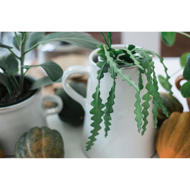 Biarritz Water Jug